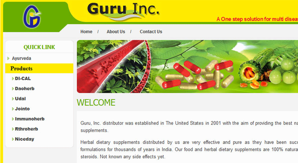 Guru Inc.